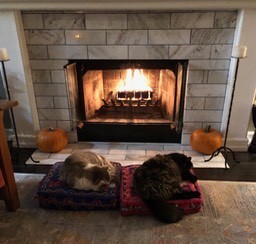 Fireside nap with my friend